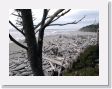 03 Kalaloch Beach - 5